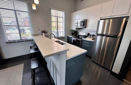 Roanoke Apartment | Luxe downtown loft | arts & ale walkable