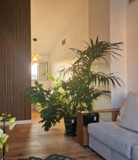 Port Grimaud Apartment | Luxe - New - Centre - 100m2 - Full clim - 3BDR - 3BTHR - 3WC - pkg