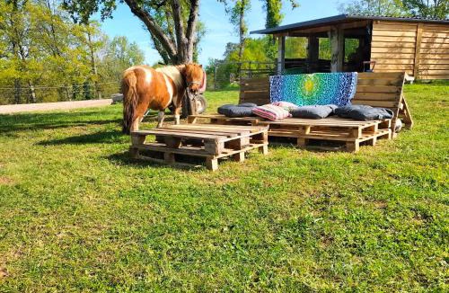 Montclera Other | Luxe safarilodgetent met boxspring bedden