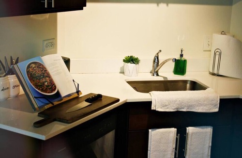 Near South Side Apartment | Luxéry Stay "Game of Thrones" Downtown/McCormick/WinTrust Area