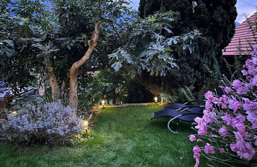 Niederried bei Interlaken House | Luxury Swiss Chalet | Lake View BBQ A/C SPA Interlaken