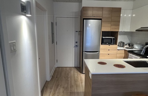 Griffintown Apartment | Luxueux condo in Downtown