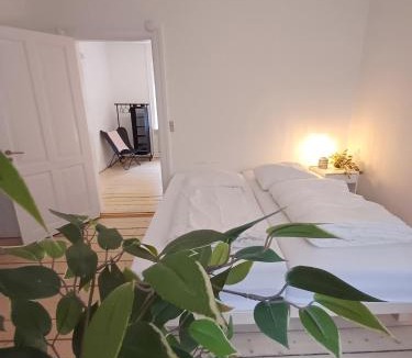 Aalborg Midtby Apartment | Luxurious 2 bedroom apartment near Jomfru Ane Gade
