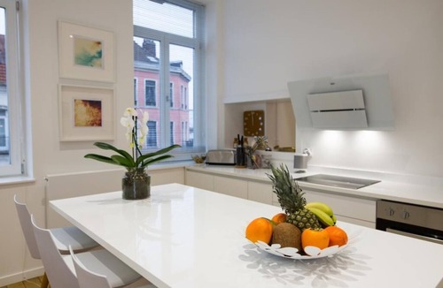 Wazemmes Apartment | Luxurious air-conditioned 250 M2 Bourgeois apartment