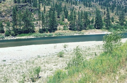 Alberton Cabin | Luxurious and rustic cabin