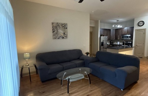 Astrodome Apartment | Luxurious Apartment near Texas Medical Center