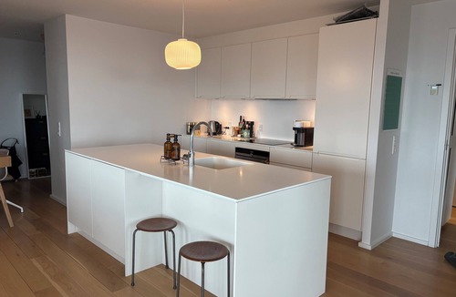 Vesterbro Condo | Luxurious Copenhagen apartment with stunning views