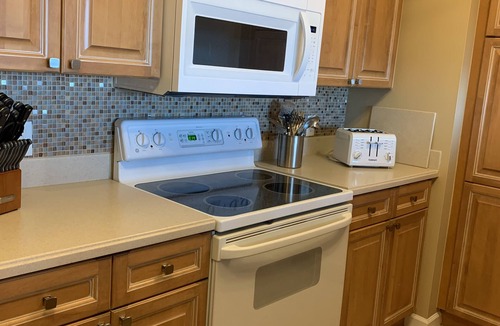Jacksonville Beach Condo | Luxurious Dolphin Heaven on the 10th floor