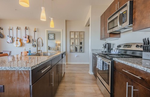 Rolling Mill Hill Condo | Luxurious Downtown Corner 2 bd 2bth-#220