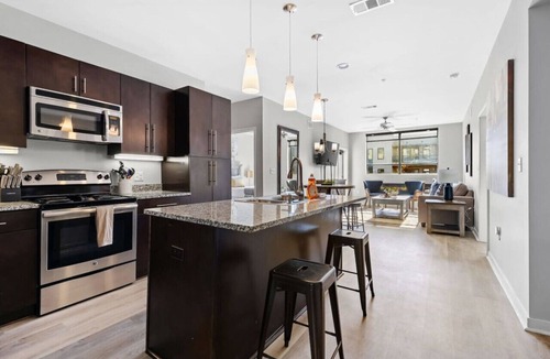 Rolling Mill Hill Condo | Luxurious Large 2 bed 2 bath Downtown Condo- #302