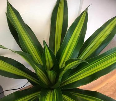 Northumberland Heath Apartment | Luxurious & Spacious 5 Bedroom Property