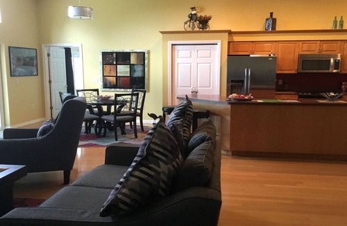 Tarpon Springs House | Luxurious Tropical Sanctuary