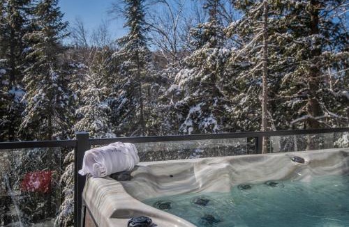 La Conception Ski Chalet | Luxurious Villa Tremblant 4 Bdrs W Hot Tub B85