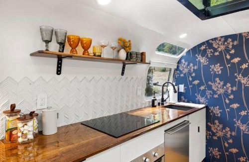 Pisgah Forest House | Luxury Airstream w hot tub, king bed, & grill