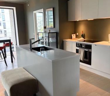 Copenhagen SV Apartment | Luxury Apartment Copenhagen Harbor View