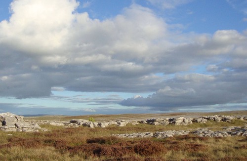 Appleby-in-Westmorland House | Luxury Barn Conversion - Orchard View