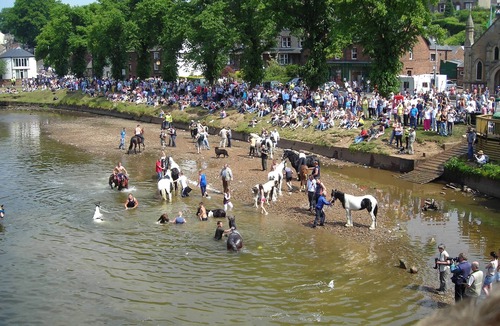Appleby-in-Westmorland House | Luxury Barn Conversion - Orchard View