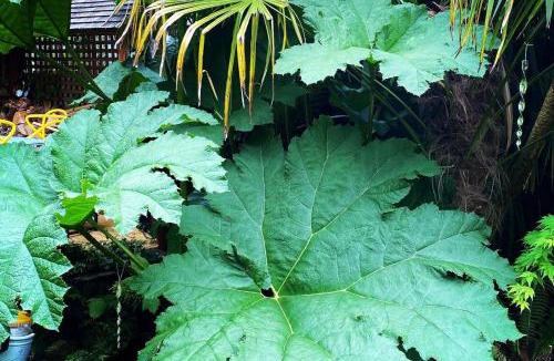 Hale House | Luxury Central Hale living