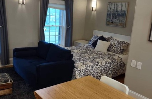 Rochester Apartment | Luxury Contemporary Studio, queen bed, full kitchen Apt 8