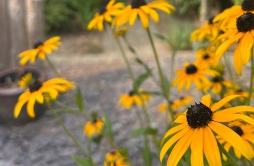 Sedlescombe House | Luxury countryside modern home