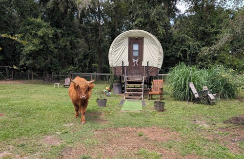 Putnam Hall Cabin | Luxury Covered Wagon, Rooterville Animal Sanctuary