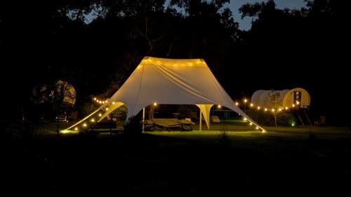 Putnam Hall House | Luxury Covered Wagon, Rooterville Animal Sanctuary