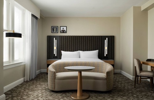 Downtown Tampa Hotel | Luxury & Downtown Excitement! Free Shuttle Service, Pets Allowed