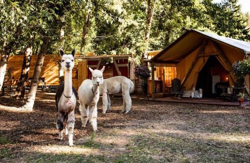 The Dalles Other | Luxury Duck Pond Glamping Hot Tub, Alpacas, Stars