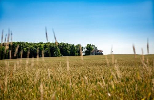 Alexandria Apartment | Luxury farm Stay, Alexandria