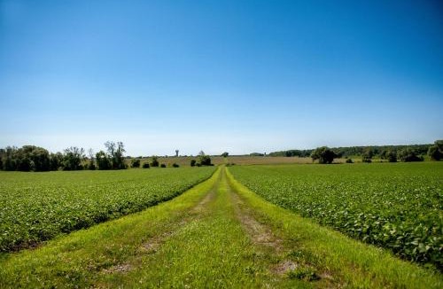 Alexandria Apartment | Luxury farm Stay, Alexandria