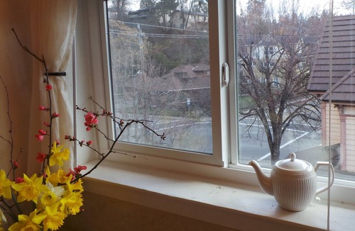 Placerville Apartment | Luxury Guest Apartments-Walking To Main St Placerville - Iris Suite