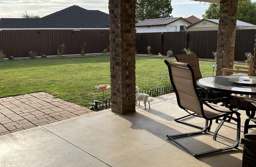 Clovis House | Luxury Home, Pet Friendly