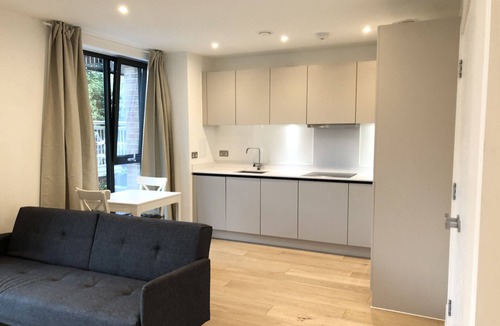 Tower Hamlets Apartment | Luxury Jade Apartment