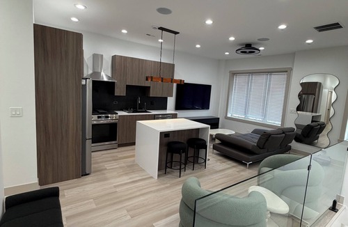 Grand Boulevard House | Luxury Living in Bronzeville with Oversized Rooftop