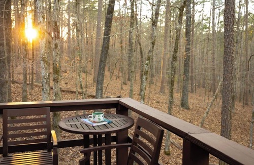 Hot Springs Village Cabin | Luxury Log Cabin | Sleeps 13 | 2 King Suites