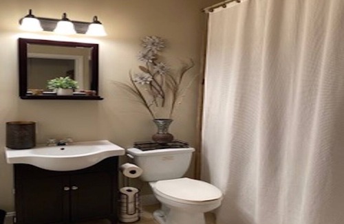 Alpharetta Apartment | Luxury lower level w/outside patio near downtown Alpharetta