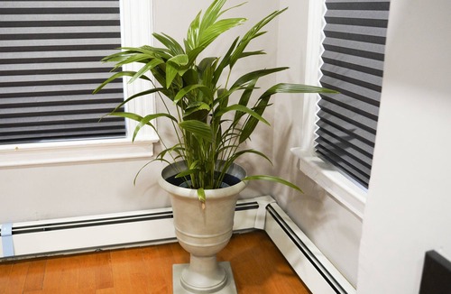 Orange House | Luxury Modern House