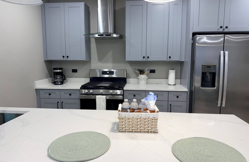 Bronzeville Apartment | Luxury New Construction Condo - Chicago Living at Its Finest