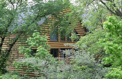 Utica Cabin | Luxury Newly Built Cabin across from Starved Rock golf,boat,hike,sleeps 12 WiFi