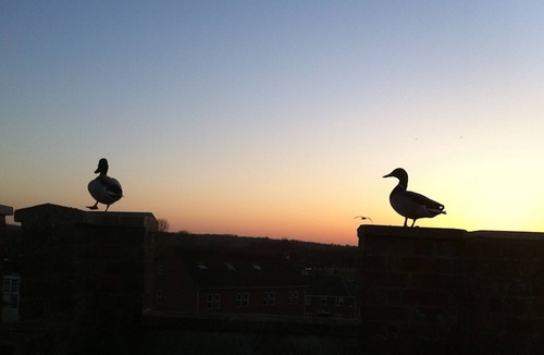 Oxford City Centre Apartment | Luxury Oxford city centre apartment with river views