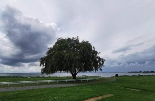 Stege House | Luxury Panoramic View - By Traum Ferienwohnungen
