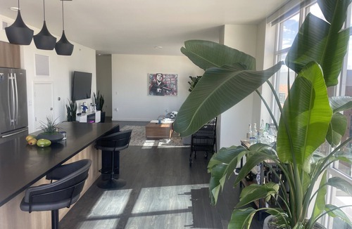 LoDo Apartment | Luxury Penthouse Downtown Denver