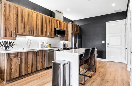 Cedars Condo | Luxury Penthouse w/Balcony Downtown Dallas Skyline Views Gym Free Parking
