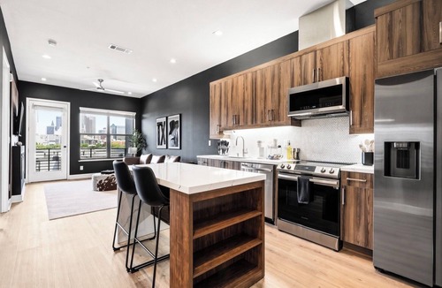 Cedars Condo | Luxury Penthouse w/Balcony Downtown Dallas Skyline Views Gym Free Parking