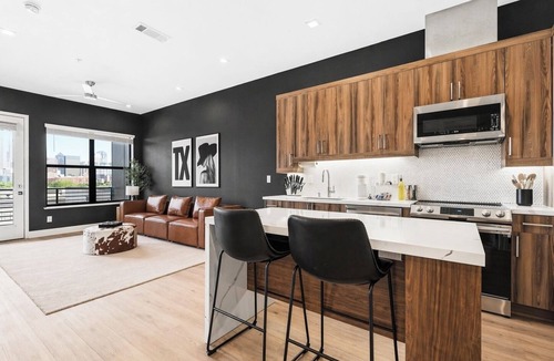 Cedars Condo | Luxury Penthouse w/Balcony Downtown Dallas Skyline Views Gym Free Parking