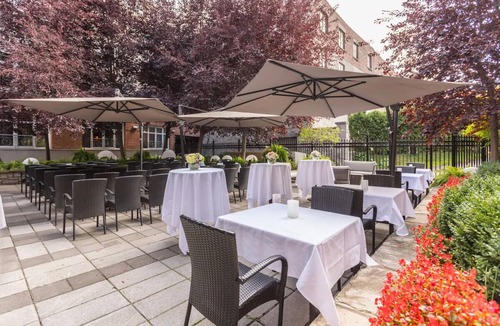 Old Montreal Hotel | Luxury Pet-Friendly Getaway by Notre-Dame Basilica Old Montreal & Science Center