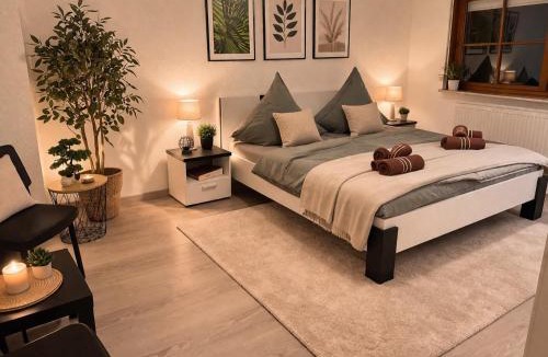 Busingen am Hochrhein Apartment | Luxury Rhine Retreat Garten&Sauna