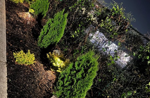 West End House | Luxury Riverhouse Downtown—4BR, Private Dock & Sauna