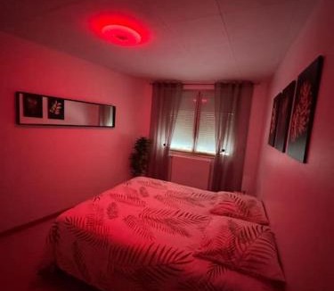 Bar-le-Duc Apartment | Luxury Room - Havre de paix avec jacuzzi privé