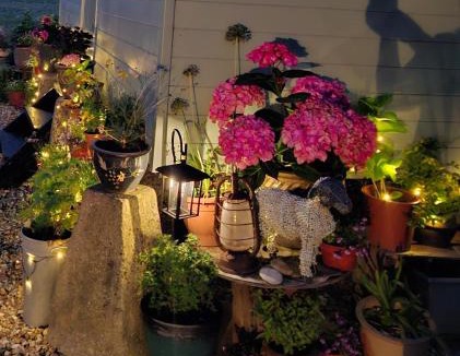 Woolhamton Apartment | Luxury Shepherd's Hut - The Hyde